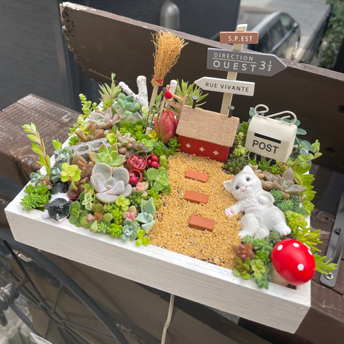 プレゼントにも〜受注制作 にゃんにゃん箱庭風多肉植物寄せ植え 多肉