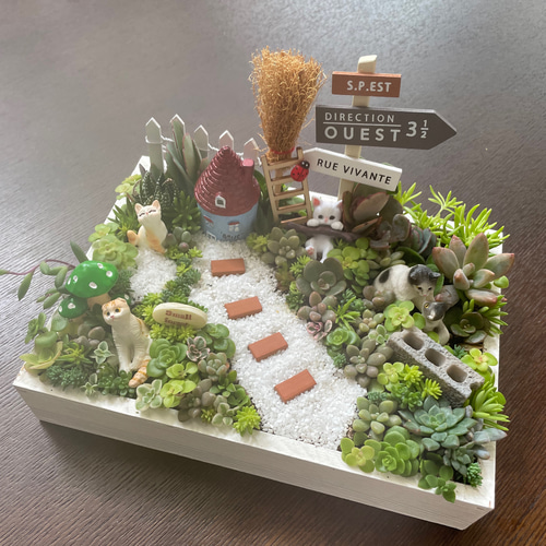 プレゼントにも〜受注制作 にゃんにゃん箱庭風多肉植物寄せ植え