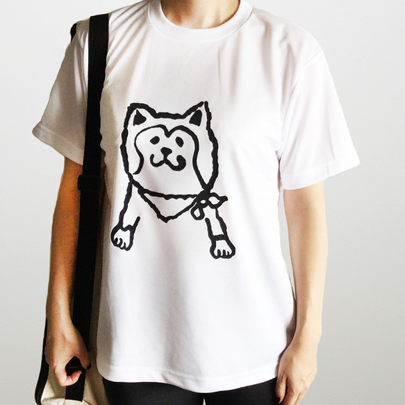 秋田犬のリラックスドライTシャツ 1枚目の画像