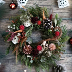 単品シリーズ〈ドライフラワー・ドライアンドラフォルモーサ〉1本