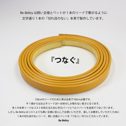 【旧商品ページ】本革レザー首輪&リードセット〈小型犬〉赤色 長さ変更可・カフェリードあり 12枚目の画像