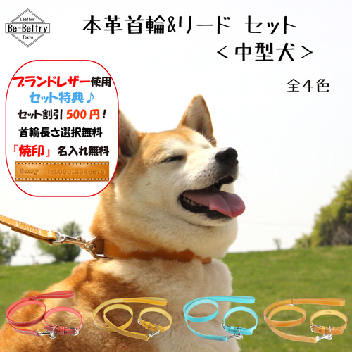 送料無料】本革首輪&リードセット〈中型犬〉レザー 名入れ 迷子 焼印