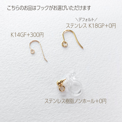 宝石質 ブルームーンストーン ピアス ステンレス ＊Solta＊ フックピアス K14GF変更可能 so044s 7枚目の画像