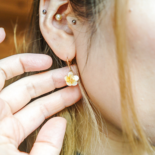 夏山の宝石 チングルマの耳飾り｜高山植物・ピアス・イヤリング ピアス