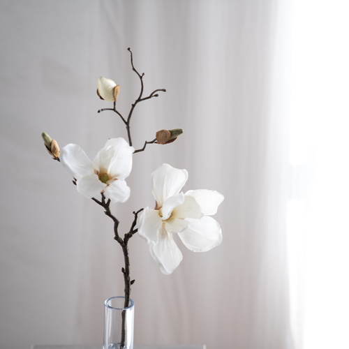 水換え不要）マグノリア一輪挿し 【木蓮】 一輪挿し・花瓶・花器
