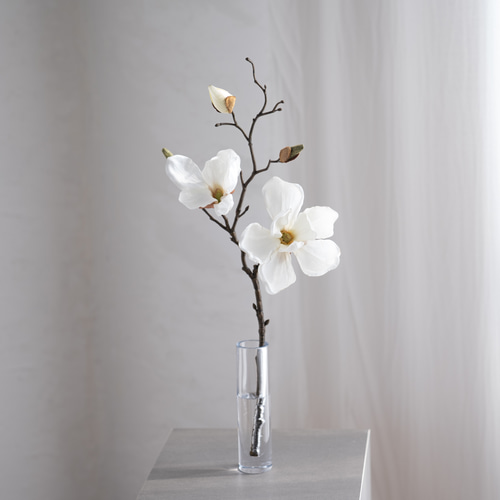 水換え不要）マグノリア一輪挿し 【木蓮】 一輪挿し・花瓶・花器