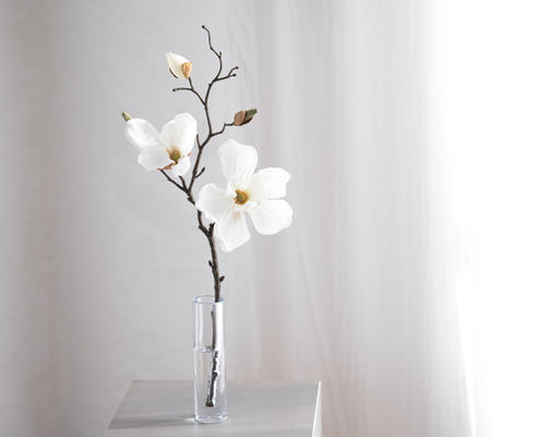 8f7b9d4673171b5e7c6ca39dc452cb