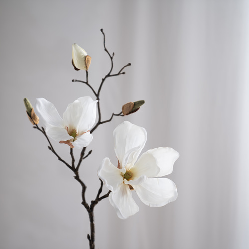 水換え不要）マグノリア一輪挿し 【木蓮】 一輪挿し・花瓶・花器