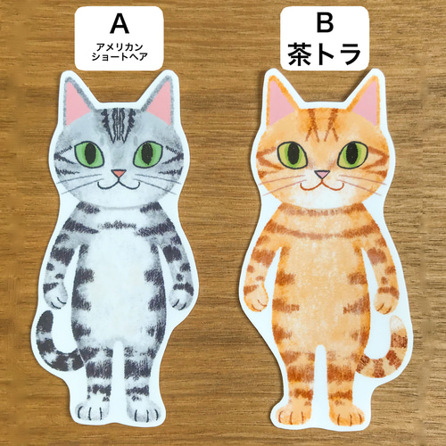 猫イラスト アメリカンショートヘア＆茶トラ・耐水ステッカー2枚1組