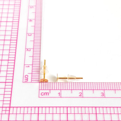 【120個】 4mm皿  ピアスパーツ  シリコンキャッチ付き  ゴールド 2枚目の画像