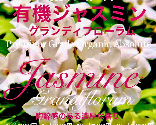 ジャスミンの地版　a　4枚 d8cdd9364a75121fd5903d6742bfb1