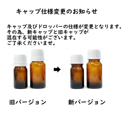 有機ジャスミングランディフローラムAbs.3ml（5ml/10ml販売中） その他
