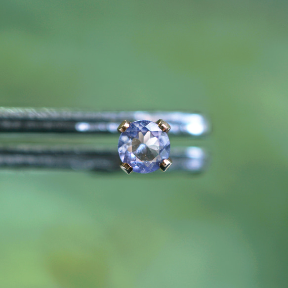 14KGF pierced earrings with 3ｍｍ Tanzanite 第7張的照片