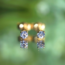 14KGF pierced earrings with 3ｍｍ Tanzanite 第3張的照片