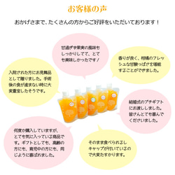 【大容量】愛媛県産　～本格みかんジュレ～「いちずみ」＜20個入＞【ご自宅用・贈り物・ギフト】 4枚目の画像