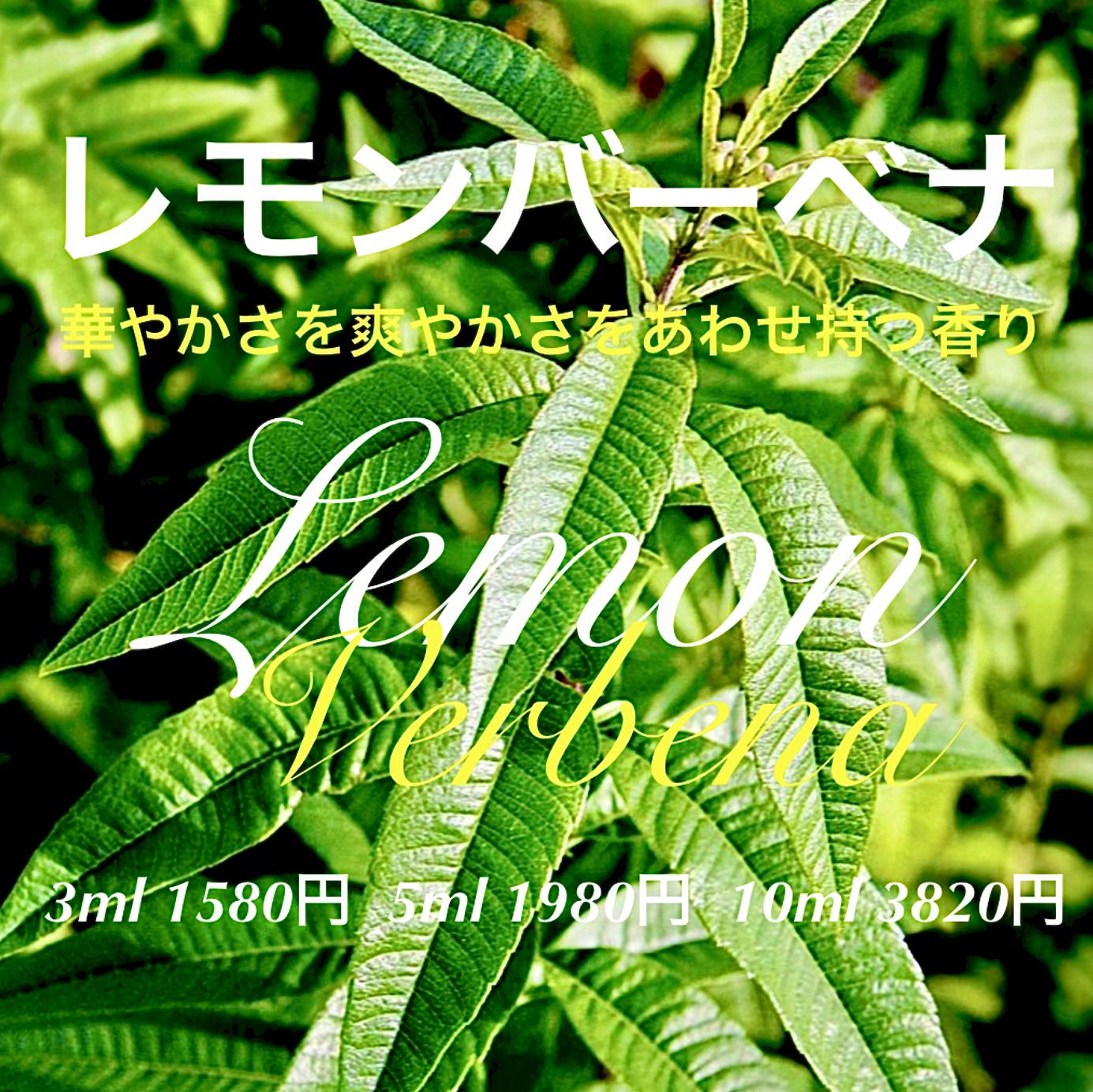 ☆新品未使用品☆ヤングリビング　レモンバーベナ　5ML  精油 ベチバー 5ml | ヤングリビング精油 | Young Living Essential Oils