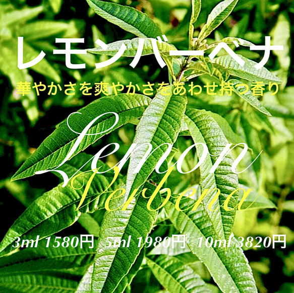【Kanoriさま】PRANAROM レモンバーベナ 5ml プラナロム 精油 Kanoriさま】PRANAROM レモンバーベナ 5ml プラナロム 精油