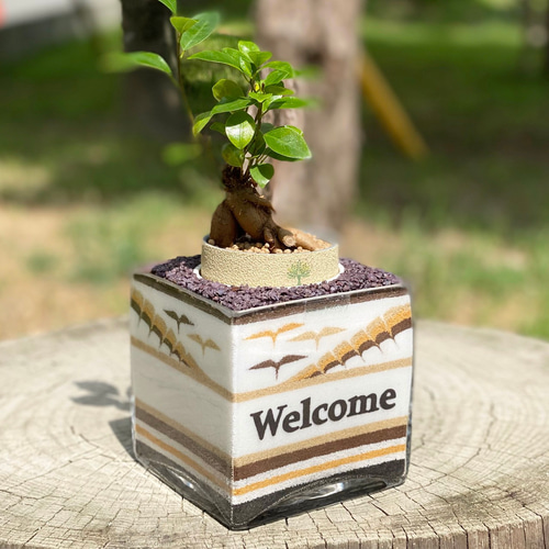 カラーサンドアート　周年祝い f709e1388b3ac381dafc02817f1ab7