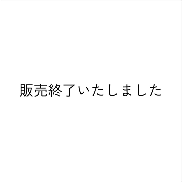 販売終了いたしました 1枚目の画像