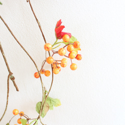 「送料無料」サンキライ（オレンジ）のハンギングリース（壁掛け） 秋リース ハロウィン 9枚目の画像