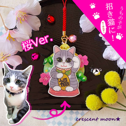 オーダー受付　招き猫わんこ②　ご予約ページ　10/11 8d7ac775e7db509016caf808739f51