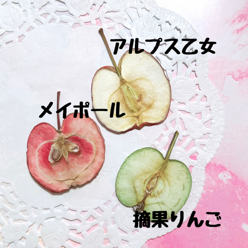 可愛い！果肉まで赤い 姫リンゴ 押しフルーツ 7枚 押し花素材 クリア