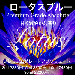 【聖水と称される甘い香り】ロータスブルーアブソリュート30ml 1枚目の画像