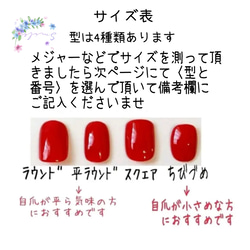 ■ NEW！Autumn color ぺちゃっとネイル ネイルチップ 4枚目の画像