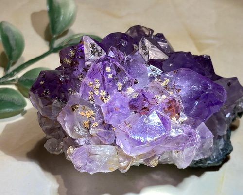 30b685e8596a62264033f4156c4546