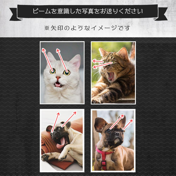 【数量限定】うちの子 オーダーメイド⑬ ■A4 送料無料 額縁付き■ PetArt810 3枚目の画像