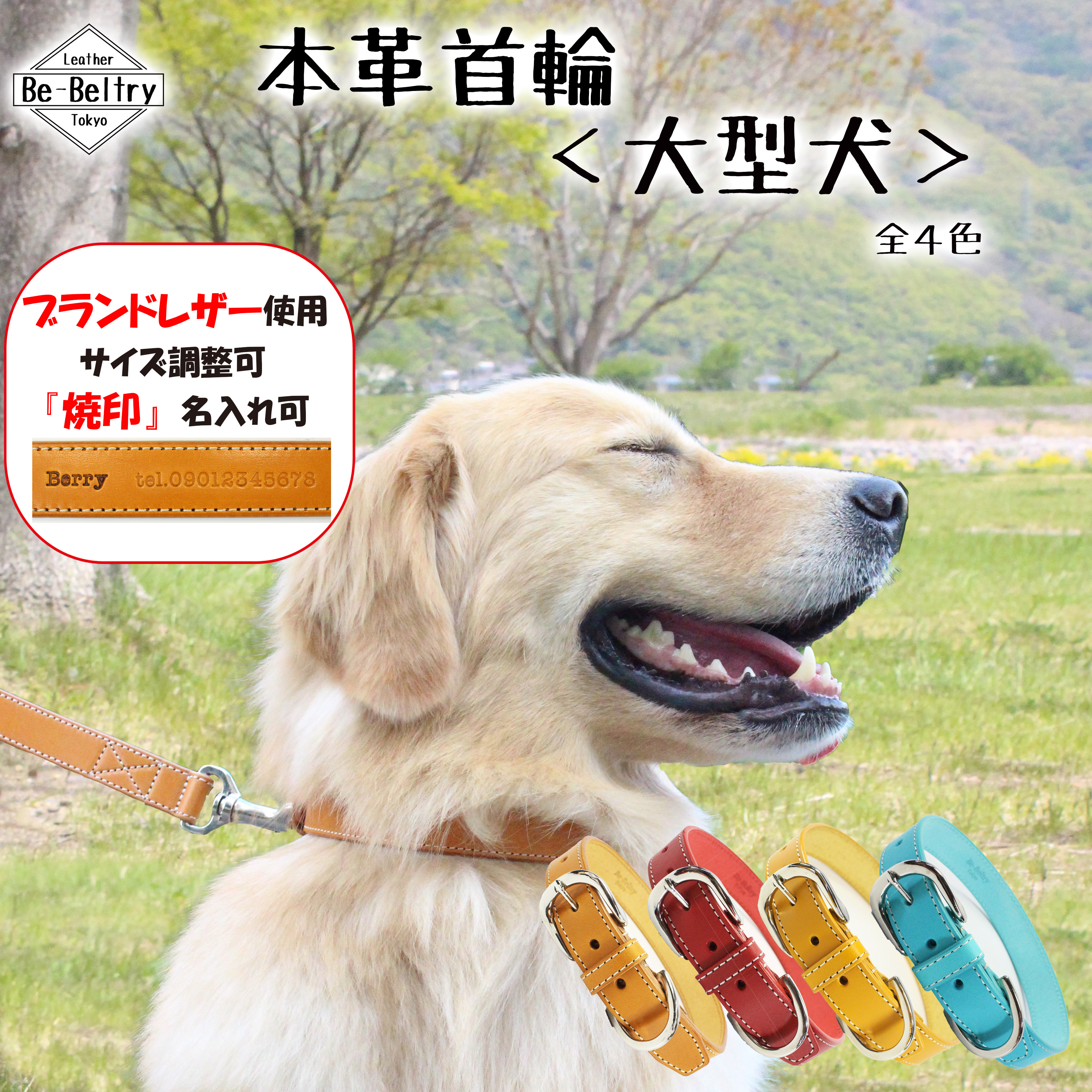 送料無料】本革首輪〈大型犬〉レザー 幅24mm 首回り～60cm(長さ