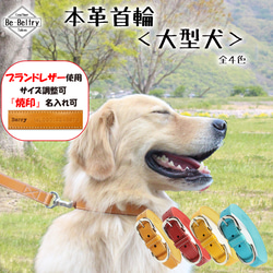 【送料無料】本革首輪〈大型犬〉レザー 幅２４ｍｍ　首回り～６０cm(長さ選択可) 青 赤 黄 キャメル 迷子 刻印名入れ 1枚目の画像