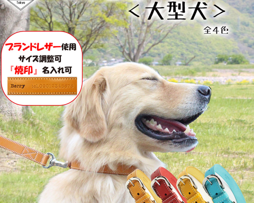 3a92d3919e026c825f68df68f49922