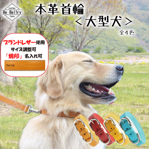 送料無料】本革首輪&リードセット〈大型犬〉レザー 名前・電話番号