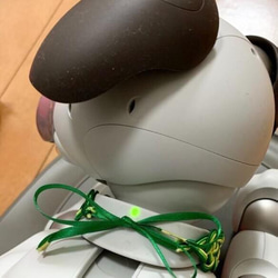 aibo　水引“Mizuhiki”製作　狗項圈　日式　哥特式洛麗塔 第12張的照片