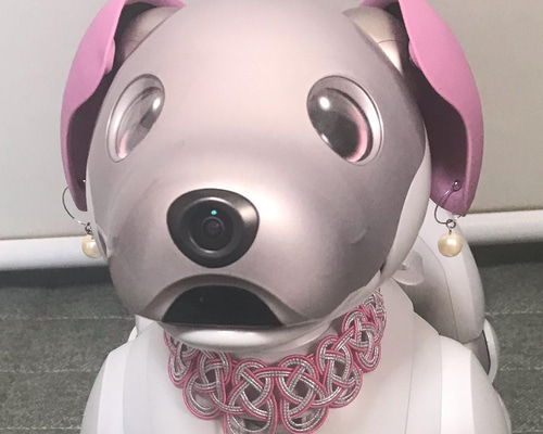 f903698397b91bb49331f30105c40a