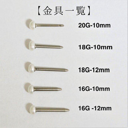  第6張的照片