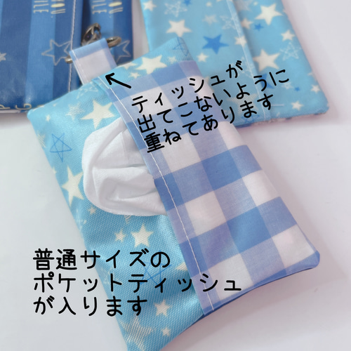 ☆538）ちょこっと移動ポケット ナスカン ラミネート移動