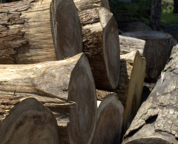 幅180cm『栗の木』和モダンダイニングテーブル 1枚目の画像