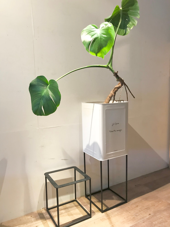 アイアン　花台　架台　観葉植物　インテリア　雑貨 5枚目の画像