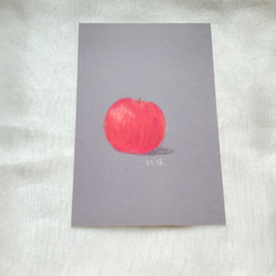 【4枚セット】ポストカード　果物　味覚　季節　紙　　おしゃれ　かわいい　お便り　素敵　文房具　カード　フルーツ 2枚目の画像