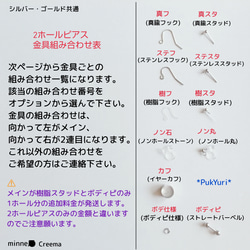 小粒ジルコニアの2ホールピアスG/ノンホールピアス/イヤーカフ/2連ピアス/軟骨ピアス/ボディピアス 3枚目の画像