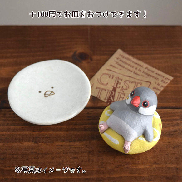 Birds on donut 第4張的照片