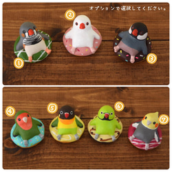 Birds on donut 第2張的照片