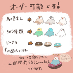 Birds on donut 第6張的照片