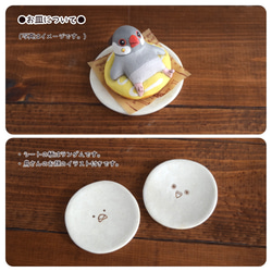 Birds on donut 第5張的照片