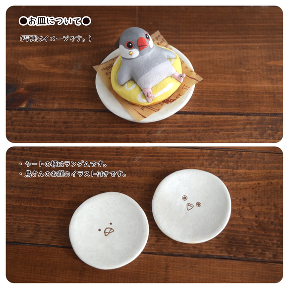 Birds on donut 第5張的照片