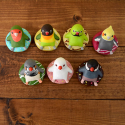 Birds on donut 第10張的照片