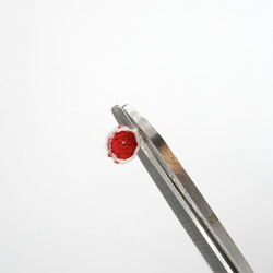 赤いボールと犬　刺繍ワッペン　犬ワッペン　柴犬　雑種 6枚目の画像