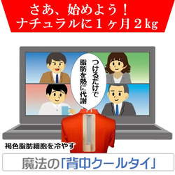 お腹周り 引き締め 脂肪燃焼 ながらダイエット NHKBS 美と若さの新常識 体質改善 ダイエット器具  背中クールタイ 15枚目の画像